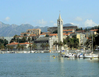 Ploce<