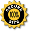 100% Secure Site
